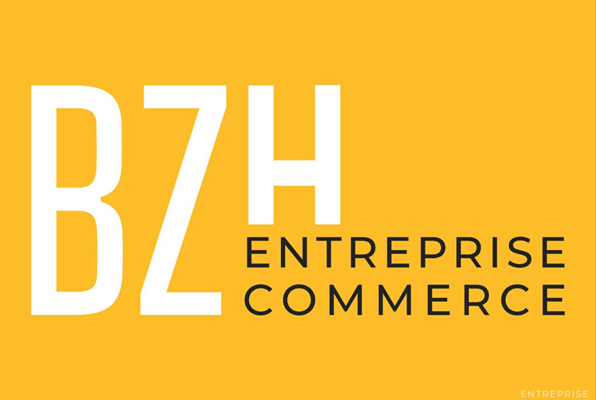 bzh-entreprise-et-commerce-bureaux-vannes-vuemer-location (5)