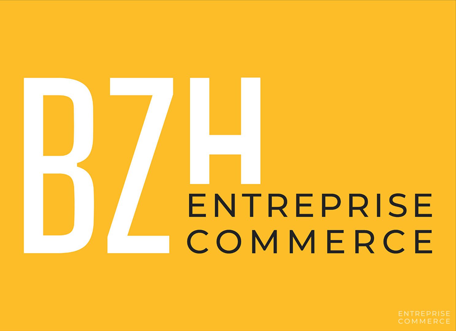 bzh-entreprise-et-commerce-bureaux-vannes-vuemer-location (5)